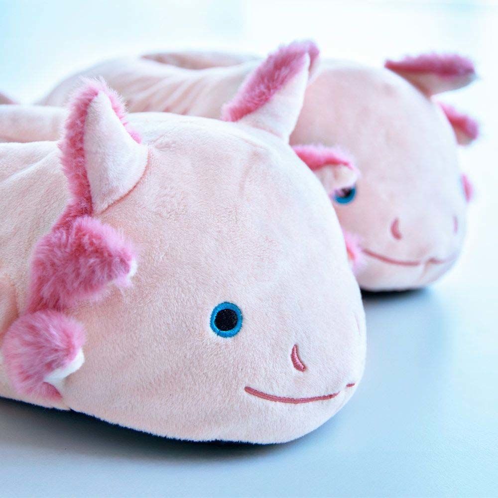 Axolotl pantoffels