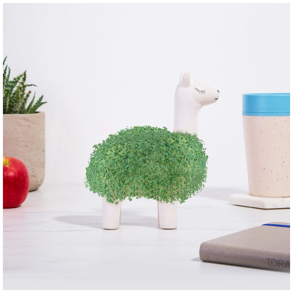De Groene Lama Planter