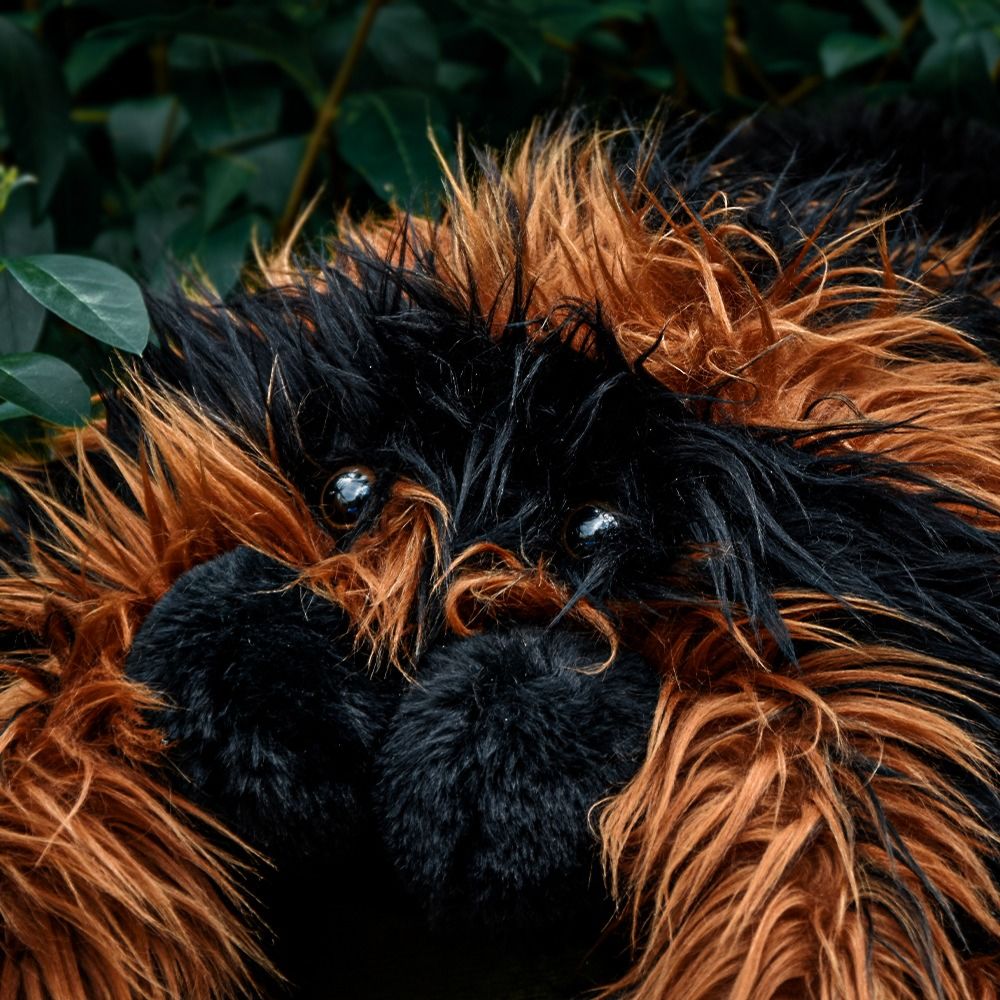 Reuze tarantula knuffel