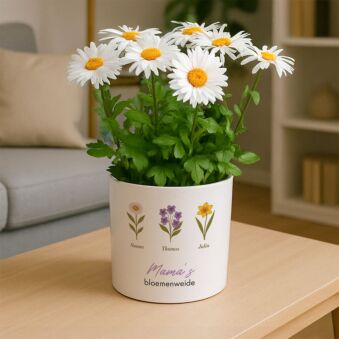 Gepersonaliseerde bloempot met geboortebloemen